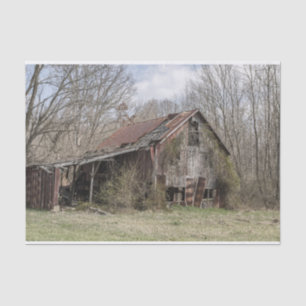 Broken Down Barn Amidst Bare Trees and Scrub Bush Tissue Paper