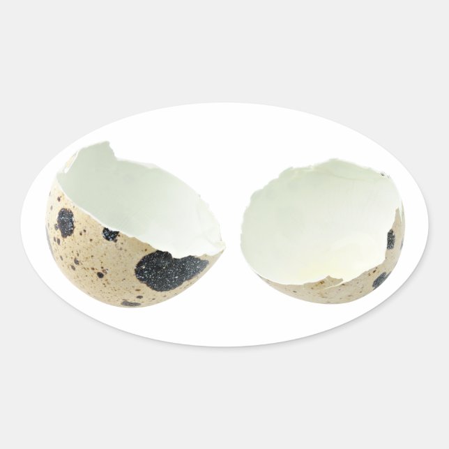 Broken egg shell oval sticker (Front)