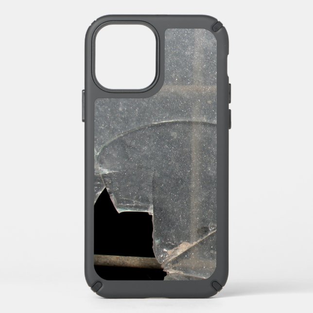 Broken Glass Window With Metal Bar Speck iPhone 12 Case (Front)