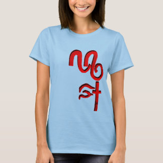 BROKEN-REDLOGO-NAME T-Shirt