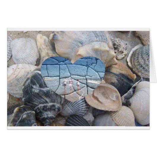 Broken Shells Cards (Front Horizontal)
