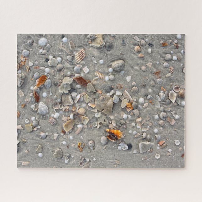 Broken Shells on Cape San Blas, Florida 16x20 Jigsaw Puzzle (Horizontal)