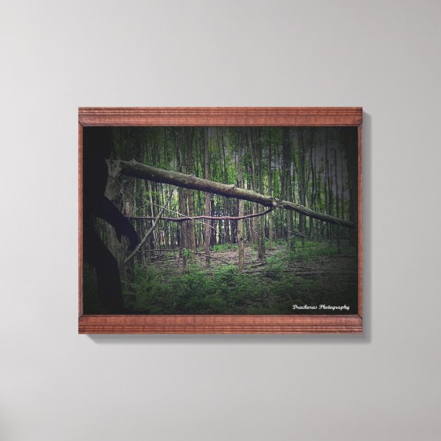 Broken Tree (Bigfoot) Canvas Print (Front)