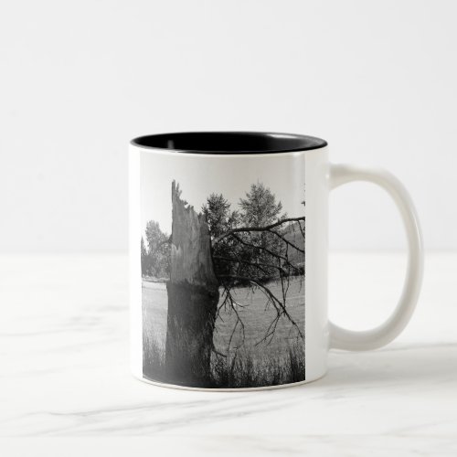 Broken tree Two_Tone coffee mug