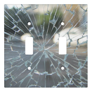 broken window light switch cover