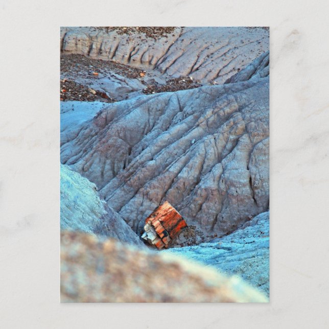 "Broken Wood in Blue Canyon" collection Postcard (Front)