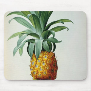 Bromelia Ananas, from 'Les Bromeliacees' Mouse Pad