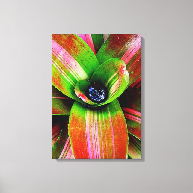 Bromeliad Canvas Print (Front)