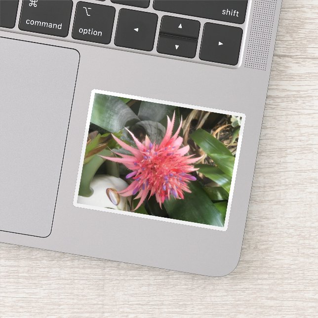 Bromeliad Flower Sticker (Detail)