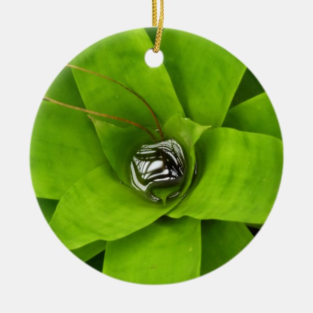 Bromeliad Green Botanical Photography Ceramic Ornament (Front)