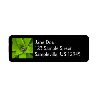 Bromeliad Green Botanical Photography Label
