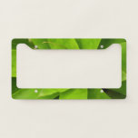 Bromeliad Green Botanical Photography License Plate Frame