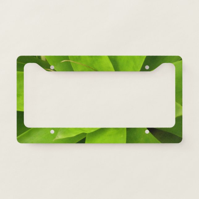 Bromeliad Green Botanical Photography License Plate Frame (Front)