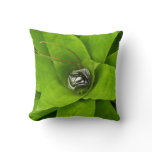 Bromeliad Green Botanical Photography Throw Pillow