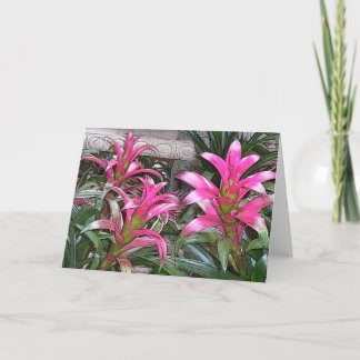 Bromeliad Greeting Card