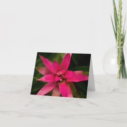 Bromeliad in Bloom Invitation