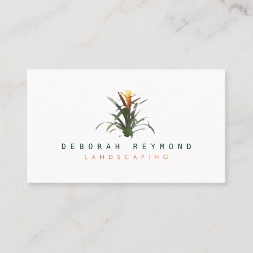 bromeliad plant  landscaping simple white business card