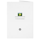 Bromeliad, red cards (Back)