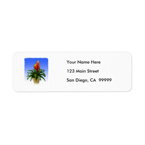 Bromeliad Vriesea Tosca Label