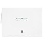 Bromeliad Watercolor Cards (Back Horizontal)