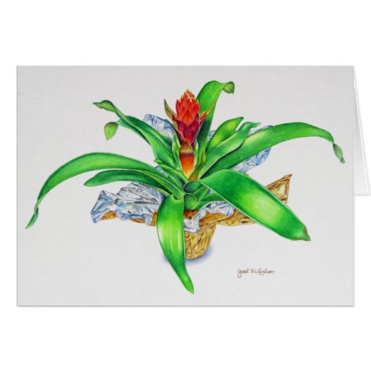 Bromeliad Watercolor Cards (Front Horizontal)