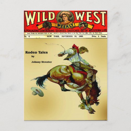 Bronc Rider  Cowboy Western Rodeo Postcard