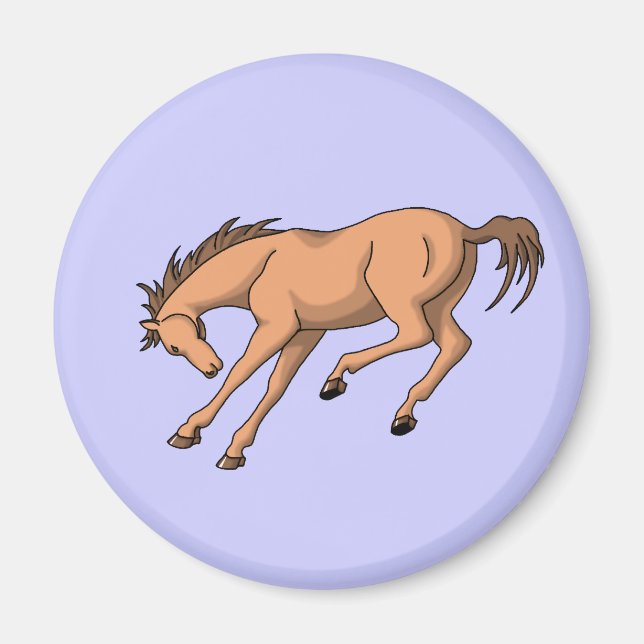 Bronco Magnet (Front)