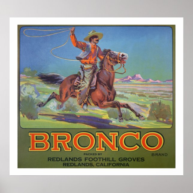 'Bronco Oranges', c.1900 (color litho) Poster (Front)