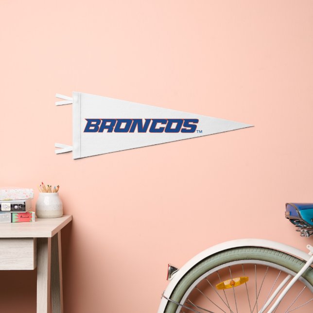 Broncos Pennant Flag (Front)