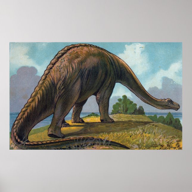 Brontosaurus Dinosaur Antique Print (Front)