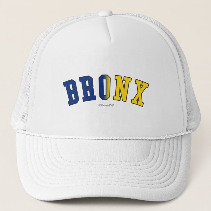 Bronx in New York State Flag Colors Hat