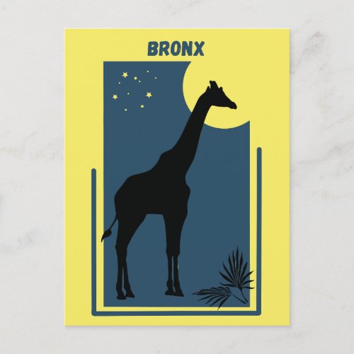 Bronx Zoo New York Vintage Giraffe Postcard
