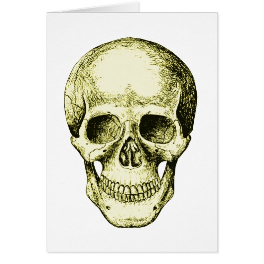 Bronze Human Skull face Cards (Front)