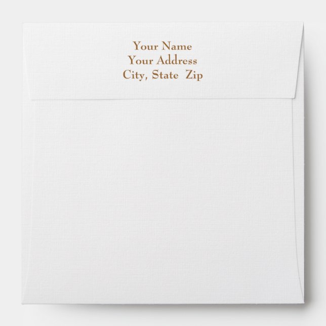 Bronze Lined ~ Matches Hanukkah, Etc. Items Envelope (Back (Top Flap))