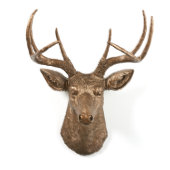 Bronze Sculpture Stag Deer Head (Front)