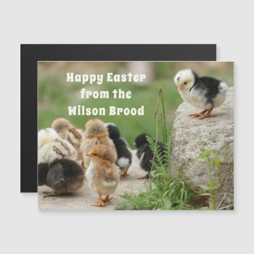 Brood of Chicks Happy Easter Magnetic Card