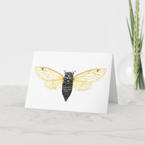 Brood X 17 Year Periodical Cicada Card
