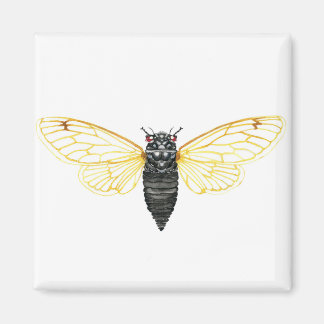 Brood X 17 Year Periodical Cicada Magnet