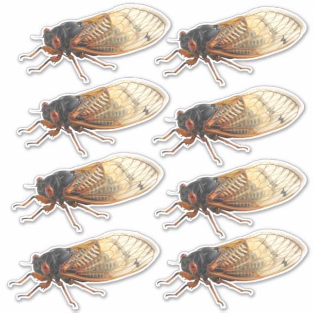 Brood X Periodical Cicada Stickers: 8 per sheet Sticker (Front)