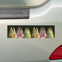 FLY FISHING BUMPER STICKERS Rainbow Brook Brown Trout Bow-Brook-Brown  Decals