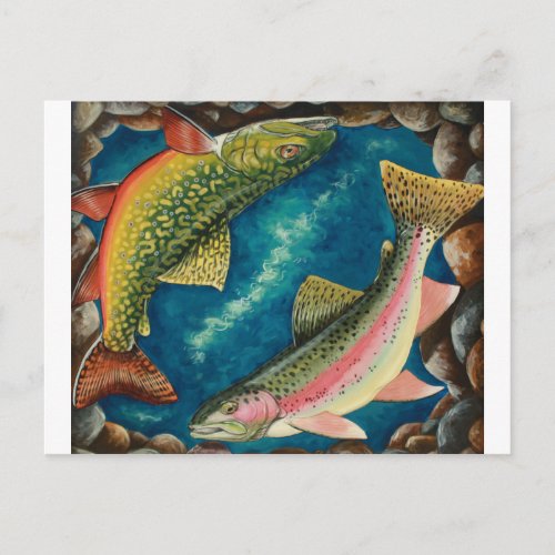 Brook Trout and Rainbow Trout Postcard