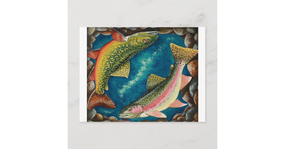 Vintage Brook Trout Fish Fisherman, Sports Fishing Postcard, Zazzle