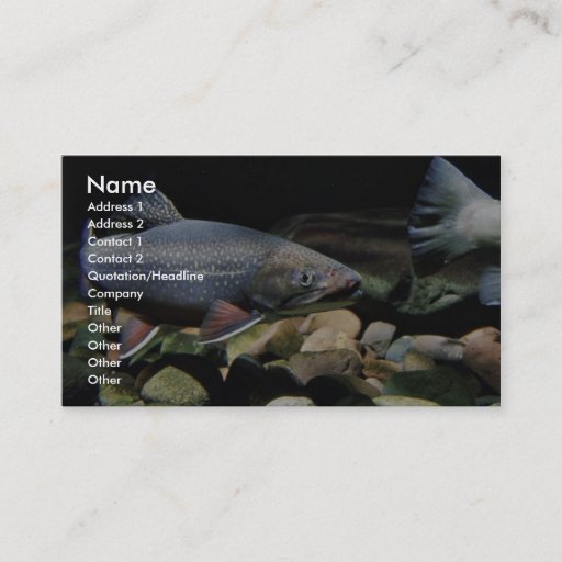 Customizable Brook trout business cards