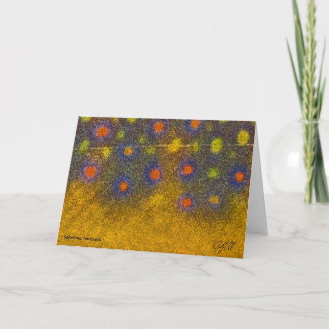 Brook Trout - Card (Front)