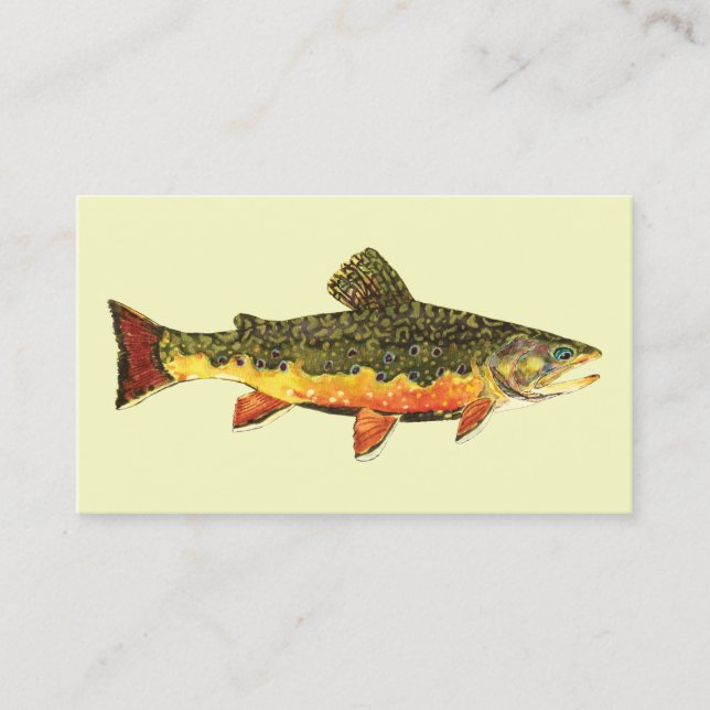 Brook Trout Fish Business Card (Front)