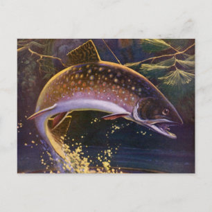 Brook Trout Fish Fisherman, Vintage Sports Fishing Postcard
