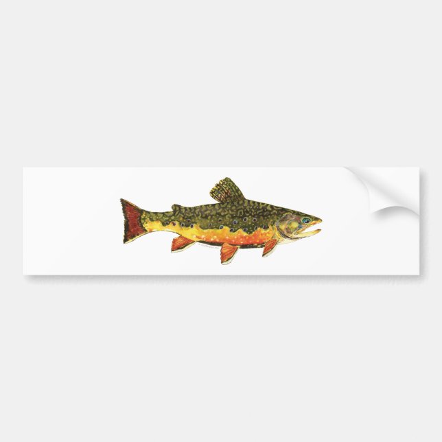 Brook Trout Fish Painting Bumper Sticker (Front)