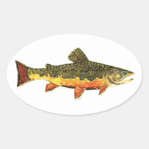Brook Trout Stickers - 47 Results