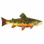 Brook Trout Fish Painting Statuette<br><div class="desc">BROOK TROUT PAINTING. Just the fish, the whole fish, and nothing but the fish. This design features the wild eastern brook trout, salvelinus fontinalis fontinalis, in rich colors and beautiful patterning just as nature painted it. The art is from an original watercolor painting by Mr. Trout Whiskers. For those who love...</div>