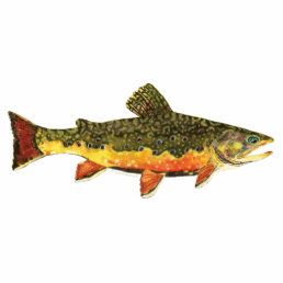 Brook Trout Fish Painting Statuette